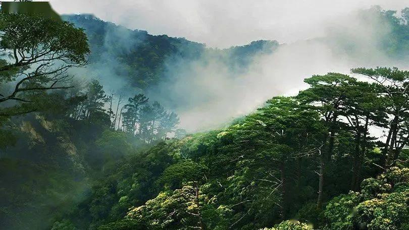 大行评级|大和:上调中远海控目标价至10港元 上调今明两年盈测