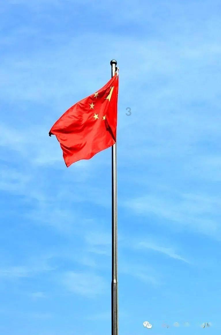逃离整洁的庭院